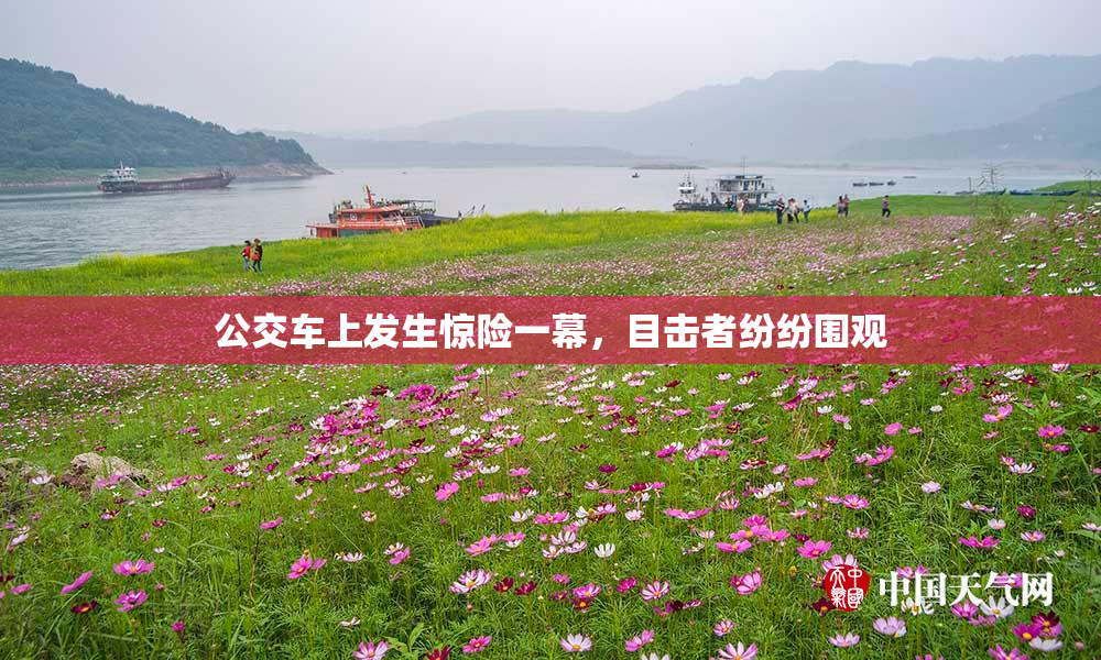 公交车上发生惊险一幕，目击者纷纷围观