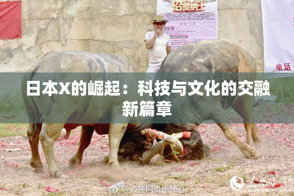 日本X的崛起：科技与文化的交融新篇章