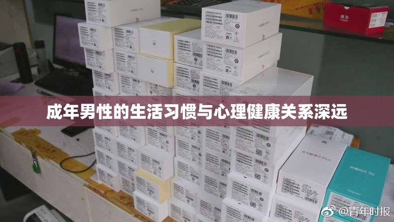 成年男性的生活习惯与心理健康关系深远