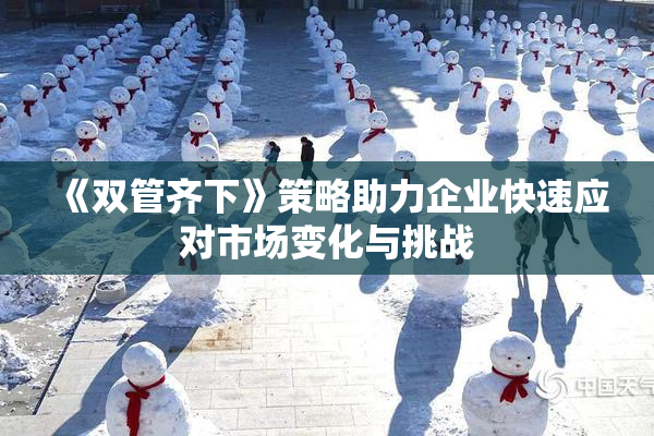 《双管齐下》策略助力企业快速应对市场变化与挑战
