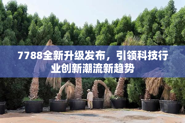 7788全新升级发布，引领科技行业创新潮流新趋势
