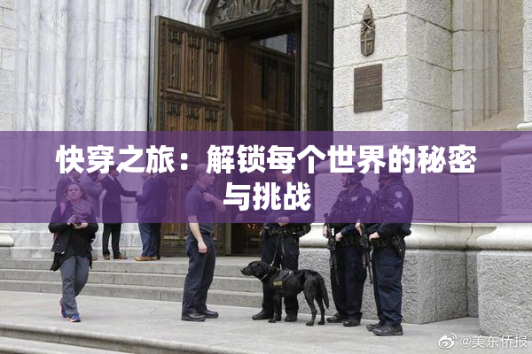 快穿之旅：解锁每个世界的秘密与挑战