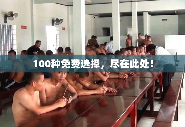 100种免费选择，尽在此处！