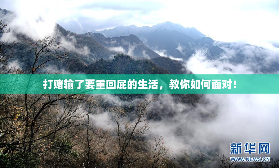 打赌输了要重回屁的生活，教你如何面对！