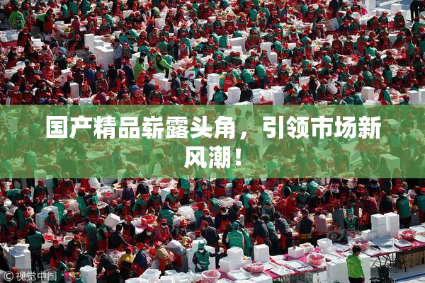 国产精品崭露头角，引领市场新风潮！