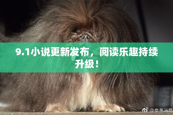 9.1小说更新发布，阅读乐趣持续升级！
