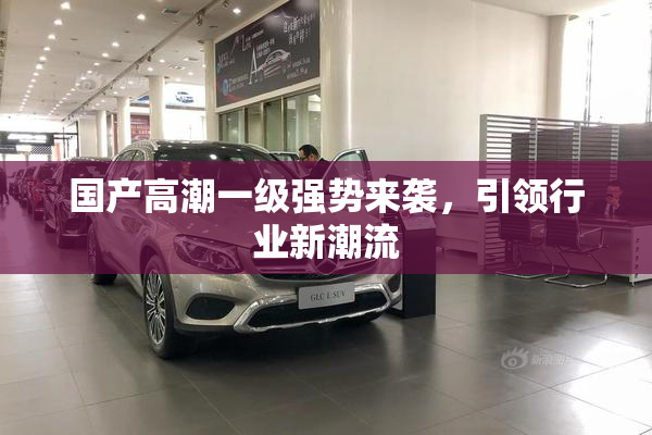 国产高潮一级强势来袭，引领行业新潮流