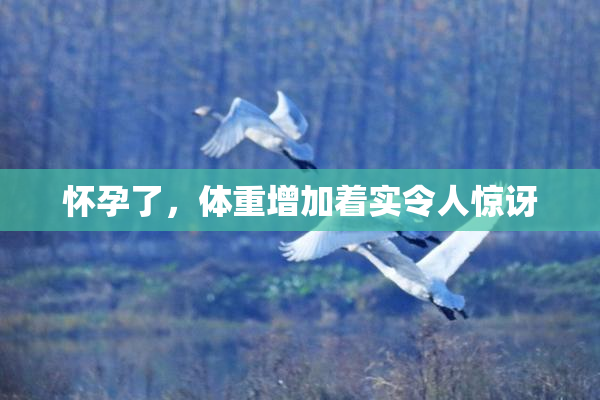 怀孕了，体重增加着实令人惊讶