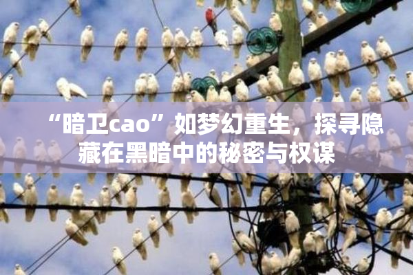 “暗卫cao”如梦幻重生，探寻隐藏在黑暗中的秘密与权谋
