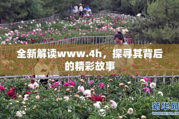 全新解读www.4h，探寻其背后的精彩故事