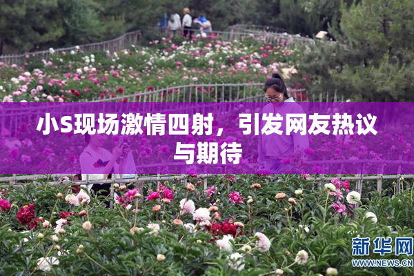 小S现场激情四射，引发网友热议与期待
