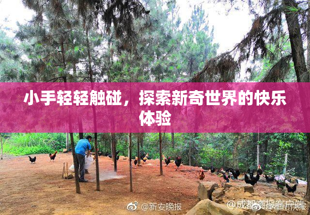 小手轻轻触碰，探索新奇世界的快乐体验