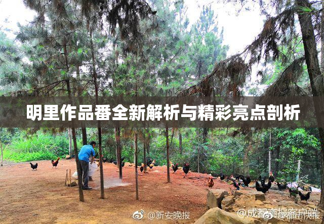明里作品番全新解析与精彩亮点剖析