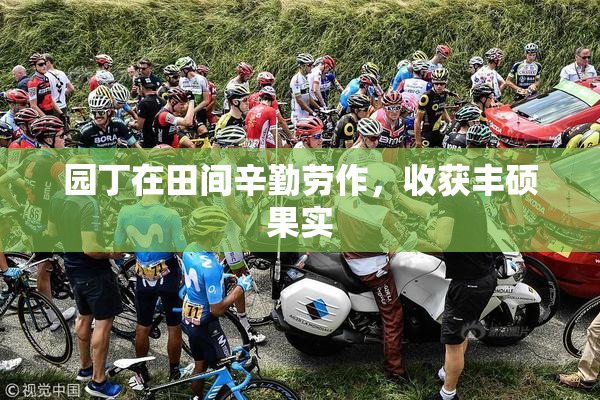 园丁在田间辛勤劳作，收获丰硕果实