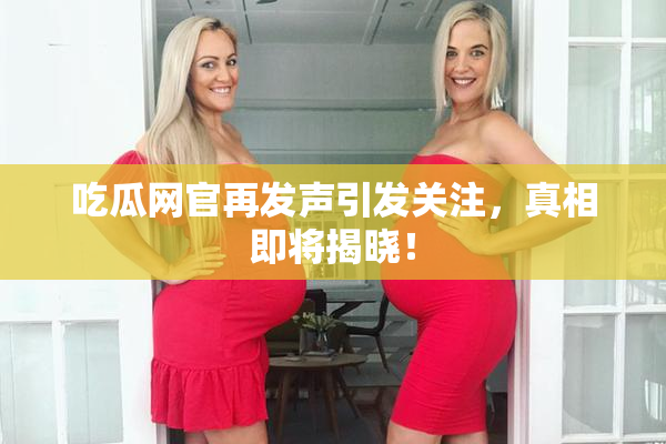 吃瓜网官再发声引发关注，真相即将揭晓！