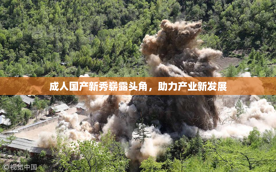 成人国产新秀崭露头角，助力产业新发展