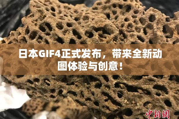 日本GIF4正式发布，带来全新动图体验与创意！