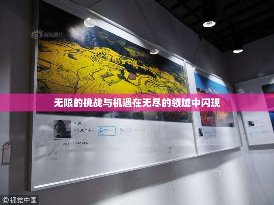无限的挑战与机遇在无尽的领域中闪现
