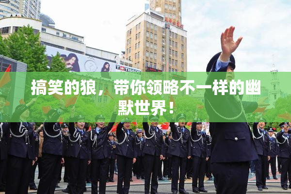 搞笑的狼，带你领略不一样的幽默世界！