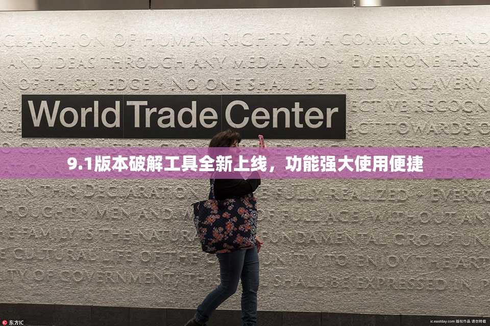 9.1版本破解工具全新上线，功能强大使用便捷