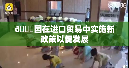 🔞国在进口贸易中实施新政策以促发展