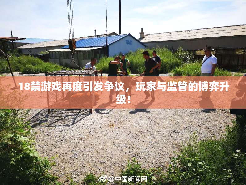 18禁游戏再度引发争议，玩家与监管的博弈升级！