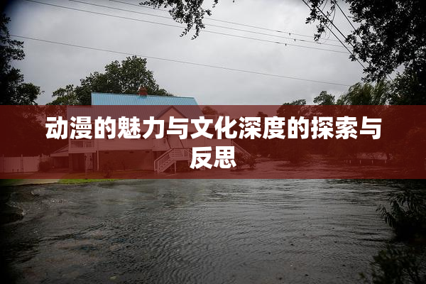 动漫的魅力与文化深度的探索与反思