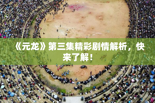 《元龙》第三集精彩剧情解析，快来了解！