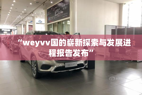 “weyvv国的崭新探索与发展进程报告发布”