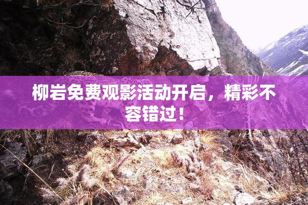 柳岩免费观影活动开启，精彩不容错过！