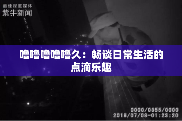 噜噜噜噜噜久：畅谈日常生活的点滴乐趣