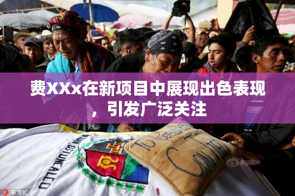 费XXx在新项目中展现出色表现，引发广泛关注