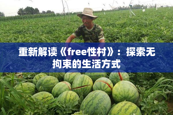 重新解读《free性村》：探索无拘束的生活方式