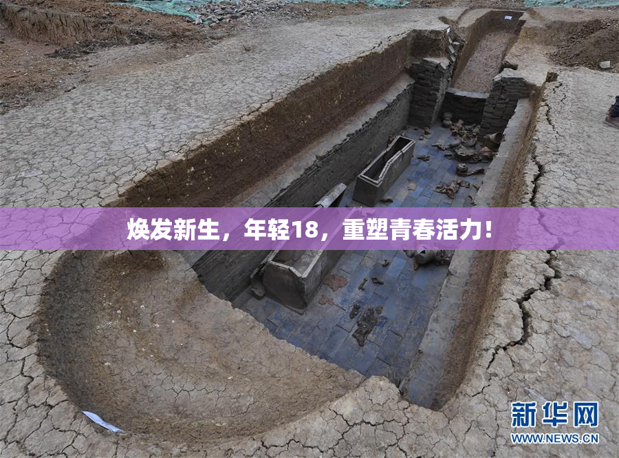 焕发新生，年轻18，重塑青春活力！
