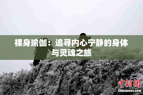 裸身瑜伽：追寻内心宁静的身体与灵魂之旅
