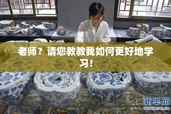 老师？请您教教我如何更好地学习！