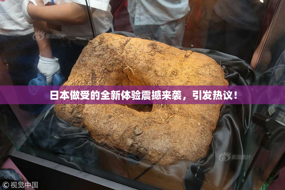 日本做受的全新体验震撼来袭，引发热议！