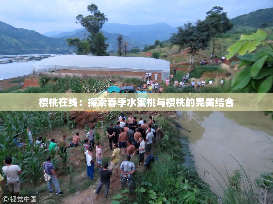 樱桃在线：探索春季水蜜桃与樱桃的完美结合