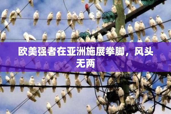 欧美强者在亚洲施展拳脚，风头无两