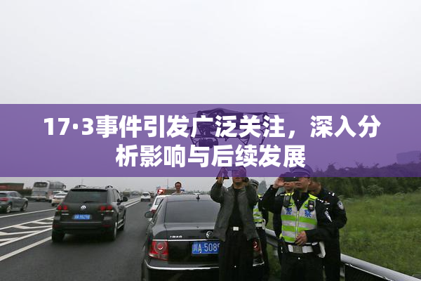 17·3事件引发广泛关注，深入分析影响与后续发展