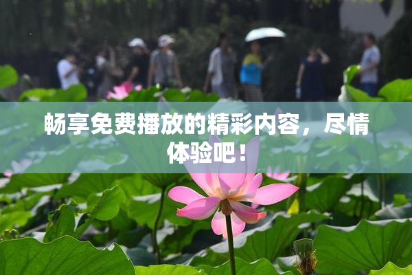 畅享免费播放的精彩内容，尽情体验吧！
