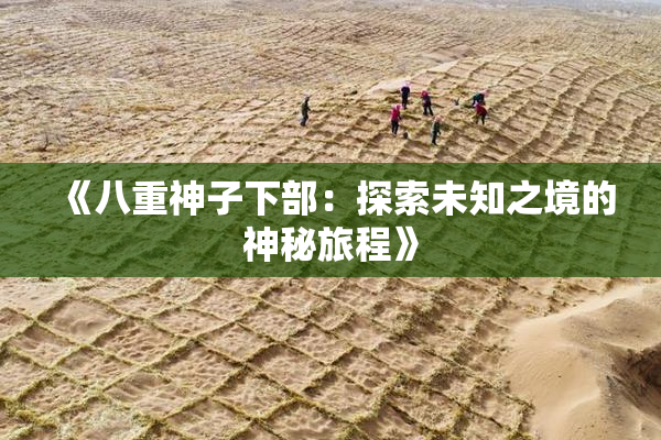 《八重神子下部：探索未知之境的神秘旅程》