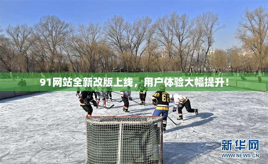 91网站全新改版上线，用户体验大幅提升！