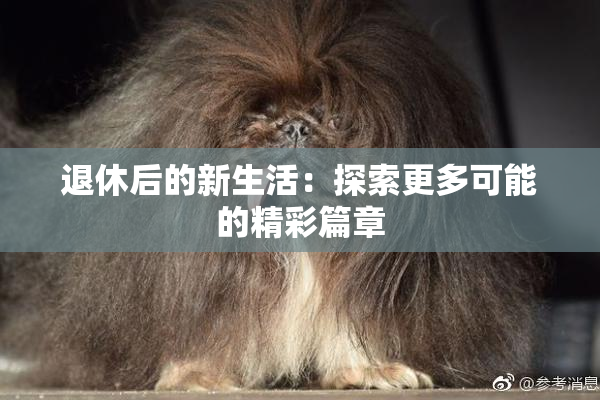 退休后的新生活：探索更多可能的精彩篇章