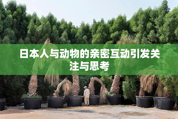 日本人与动物的亲密互动引发关注与思考