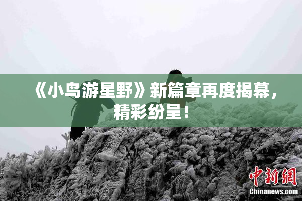 《小鸟游星野》新篇章再度揭幕，精彩纷呈！