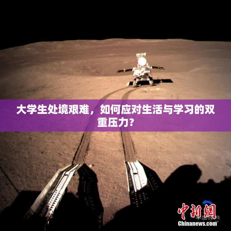 大学生处境艰难，如何应对生活与学习的双重压力？