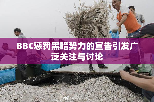 BBC惩罚黑暗势力的宣告引发广泛关注与讨论