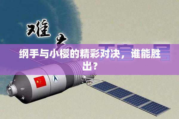 纲手与小樱的精彩对决，谁能胜出？