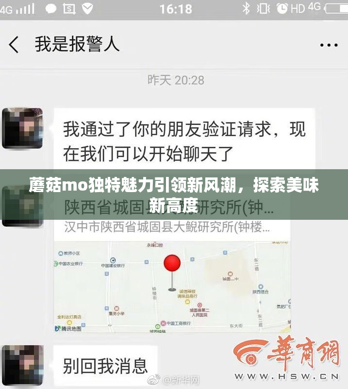 蘑菇mo独特魅力引领新风潮，探索美味新高度